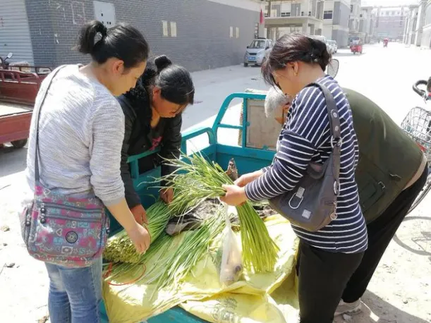 大蒜期货交易市场的(大蒜期货今日行情)_https://www.vyews.com_期货技术_第1张