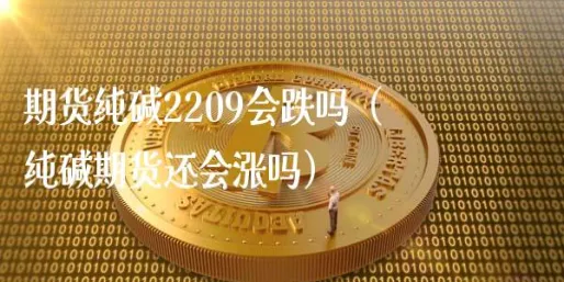 纯碱期货2209平仓手续费(期货纯碱手续费是双边收吗)_https://www.vyews.com_期货品种_第1张