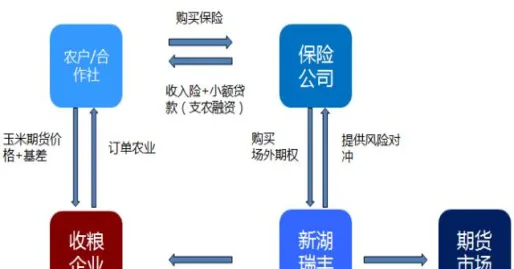 保险期货补贴主体变更流程(保险加期货怎么扶贫)_https://www.vyews.com_期货行情_第1张