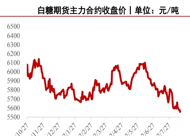 期货白糖的单价(白糖期货报价单位)_https://www.vyews.com_期货直播间_第1张