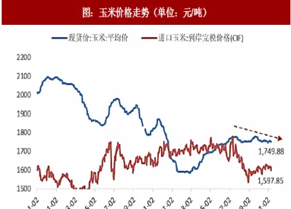 玉米期货行情规律(玉米期货行情规律分析)_https://www.vyews.com_期货行情_第1张