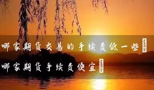 哪家期货怎么样(期货哪家手续费低)_https://www.vyews.com_期货直播间_第1张