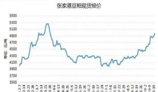 豆粕期货上市年份(豆粕期货价格最高的月份)_https://www.vyews.com_期货百科_第1张