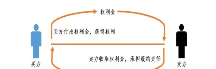 期货期权杠杆区别(期货的杠杆是怎么回事)_https://www.vyews.com_行情分析_第1张