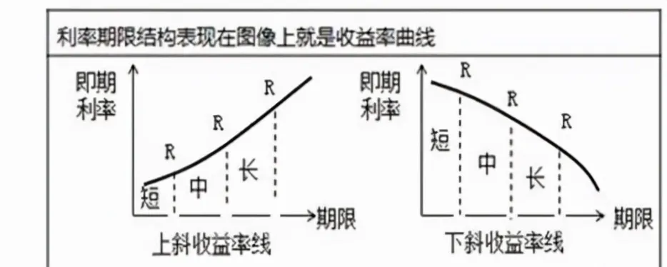 利率期货的价值公式(利率期货理论价格公式)_https://www.vyews.com_期货品种_第1张