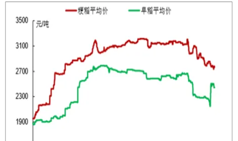 农产品期货上涨利好(期货农产品上涨)_https://www.vyews.com_期货直播间_第1张