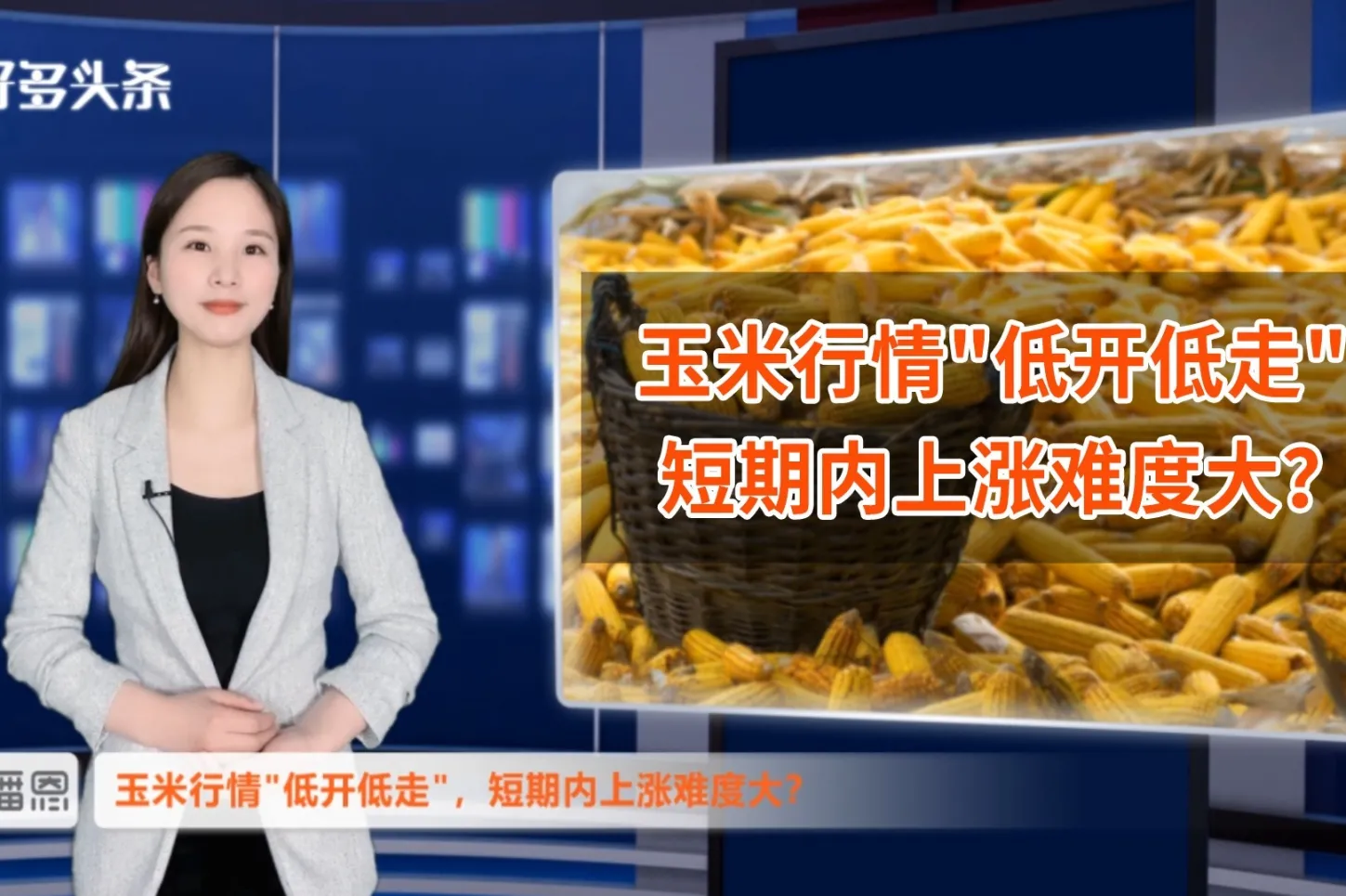 为什么期货做玉米(为什么期货做玉米行情不好)_https://www.vyews.com_行情分析_第1张