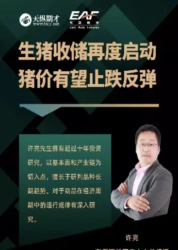 期货市场热点品种行情分析(期货市场热点品种行情分析图)_https://www.vyews.com_内盘期货_第1张