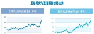 大豆豆油豆粕期货收盘报价分析(大豆豆油豆粕期货收盘报价分析图)_https://www.vyews.com_期货技术_第1张