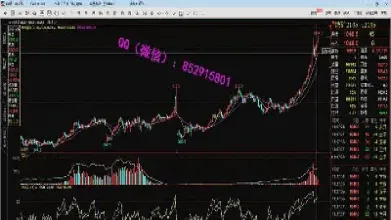 期货日内共振(期货日内共振技巧)_https://www.vyews.com_股指期货_第1张