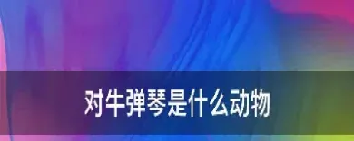 退出期货是对牛弹琴(退出期货市场的人多吗)_https://www.vyews.com_原油直播间_第1张