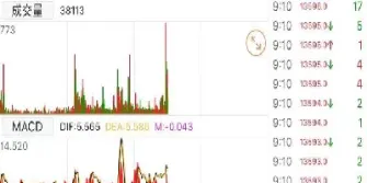 比利时指数期货合约(比利时指数期货合约是什么)_https://www.vyews.com_技术指标_第1张