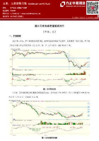 期货做淀粉还是玉米(期货玉米淀粉好做吗)_https://www.vyews.com_原油期货_第1张