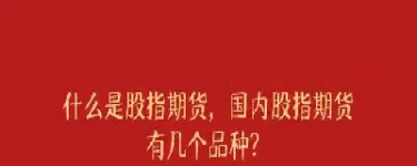 什么是h股金融指数期货(h股指数是什么意思)_https://www.vyews.com_行情分析_第1张