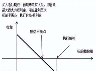 期权期货解释(期权期货解释是什么)_https://www.vyews.com_原油直播间_第1张