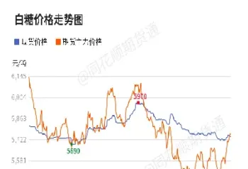 白糖期货涨跌停板幅度(白糖期货涨停板规则)_https://www.vyews.com_内盘期货_第1张