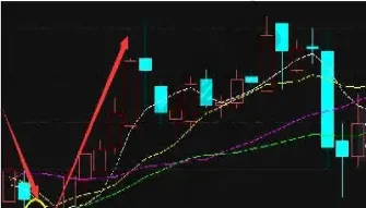 甲醇期货触底反弹(甲醇期货触底反弹的原因)_https://www.vyews.com_股指期货_第1张