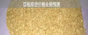 豆粕期货适合短线还是长(豆粕期货手续费多少)_https://www.vyews.com_行情分析_第1张