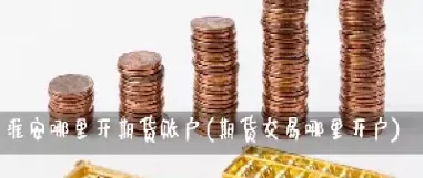 哪里可以开股指期货账户(股指期货哪里开通)_https://www.vyews.com_原油直播间_第1张