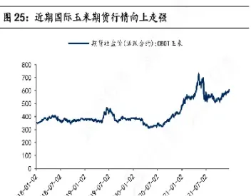 玉米期货没跟随外盘(玉米期货跟着哪个商品走)_https://www.vyews.com_原油直播间_第1张