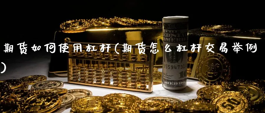 期货如何使用杠杆(期货怎么杠杆交易举例)_https://www.vyews.com_期货技术_第1张