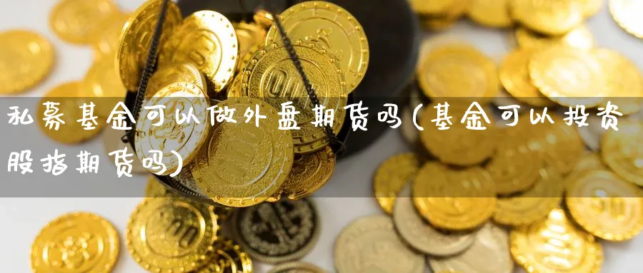 私募基金可以做外盘期货吗(基金可以投资股指期货吗)_https://www.vyews.com_内盘期货_第1张