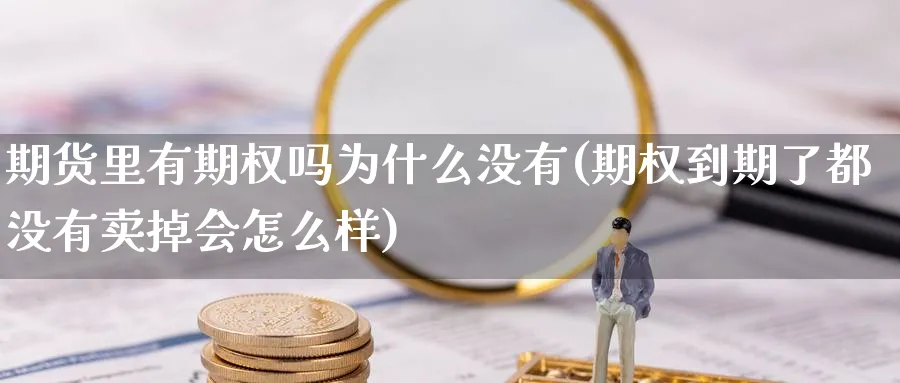 期货里有期权吗为什么没有(期权到期了都没有卖掉会怎么样)_https://www.vyews.com_期货行情_第1张