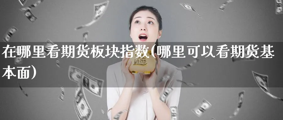 在哪里看期货板块指数(哪里可以看期货基本面)_https://www.vyews.com_期货直播间_第1张