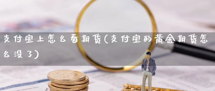 支付宝上怎么看期货(支付宝的黄金期货怎么没了)_https://www.vyews.com_期货直播间_第1张