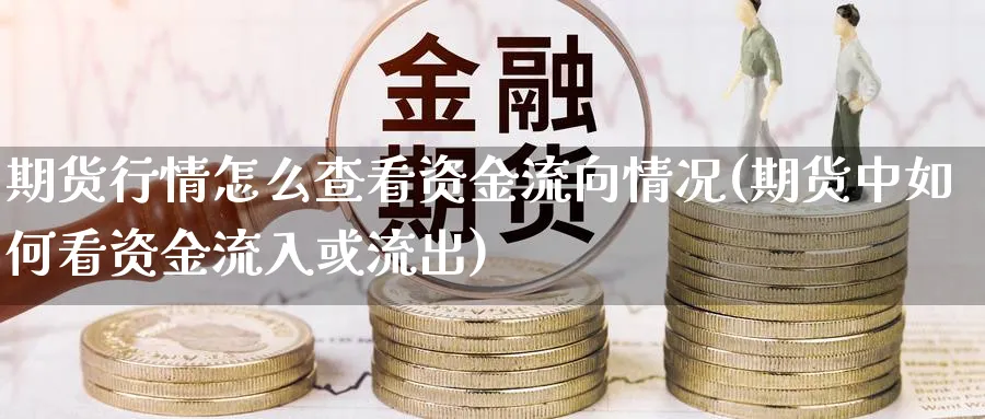 期货行情怎么查看资金流向情况(期货中如何看资金流入或流出)_https://www.vyews.com_黄金期货_第1张