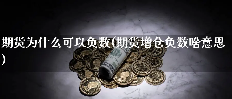 期货为什么可以负数(期货增仓负数啥意思)_https://www.vyews.com_技术指标_第1张