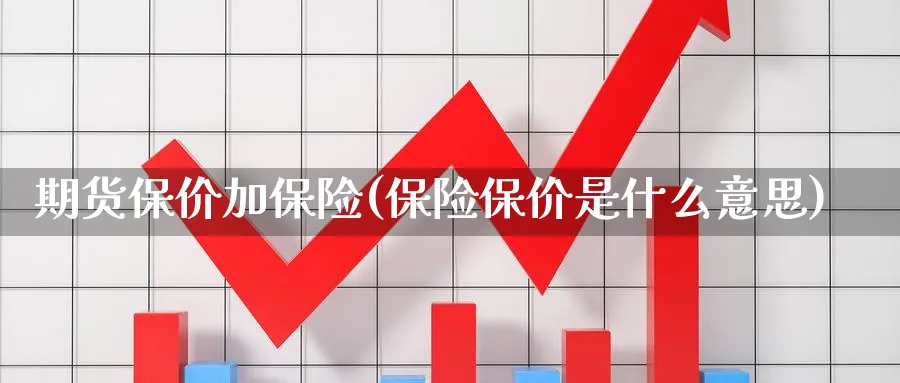 期货保价加保险(保险保价是什么意思)_https://www.vyews.com_技术指标_第1张