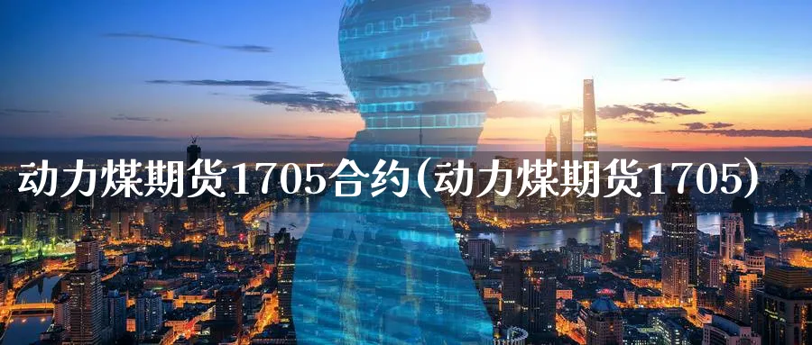 动力煤期货1705合约(动力煤期货1705)_https://www.vyews.com_国际期货_第1张