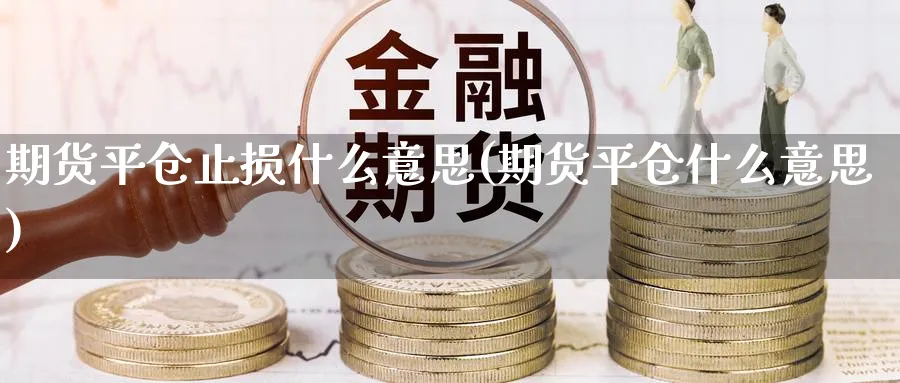 期货平仓止损什么意思(期货平仓什么意思)_https://www.vyews.com_行情分析_第1张