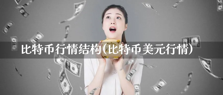 比特币行情结构(比特币美元行情)_https://www.vyews.com_行情分析_第1张