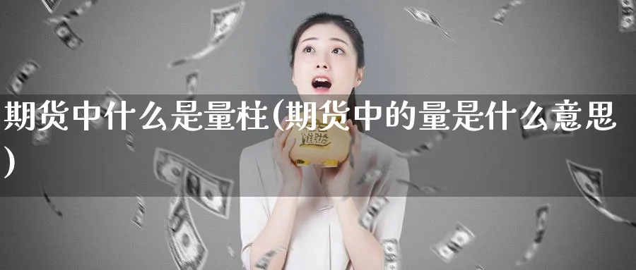 期货中什么是量柱(期货中的量是什么意思)_https://www.vyews.com_原油直播间_第1张