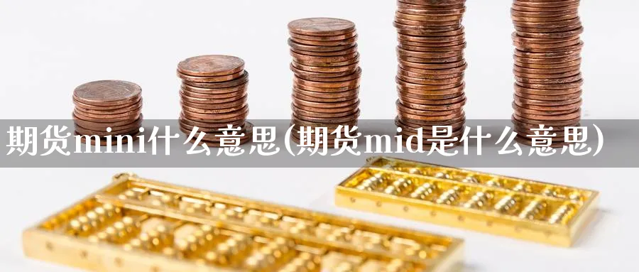 期货mini什么意思(期货mid是什么意思)_https://www.vyews.com_行情分析_第1张