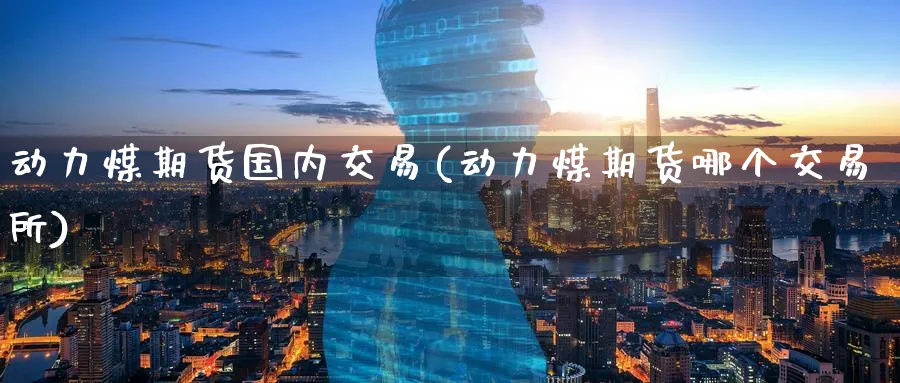 动力煤期货国内交易(动力煤期货哪个交易所)_https://www.vyews.com_行情分析_第1张