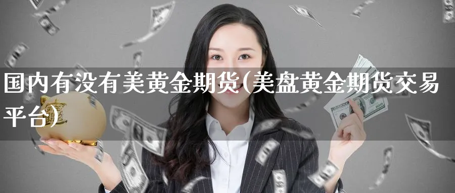 国内有没有美黄金期货(美盘黄金期货交易平台)_https://www.vyews.com_黄金期货_第1张