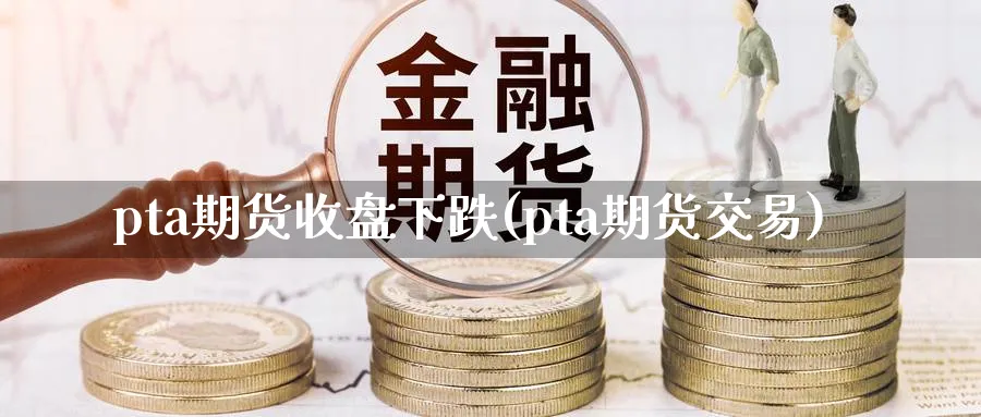 pta期货收盘下跌(pta期货交易)_https://www.vyews.com_期货行情_第1张