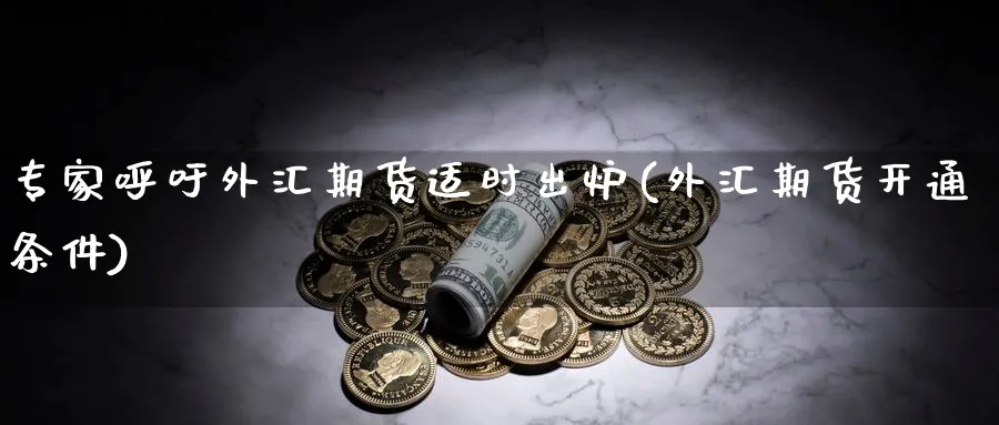 专家呼吁外汇期货适时出炉(外汇期货开通条件)_https://www.vyews.com_期货直播间_第1张