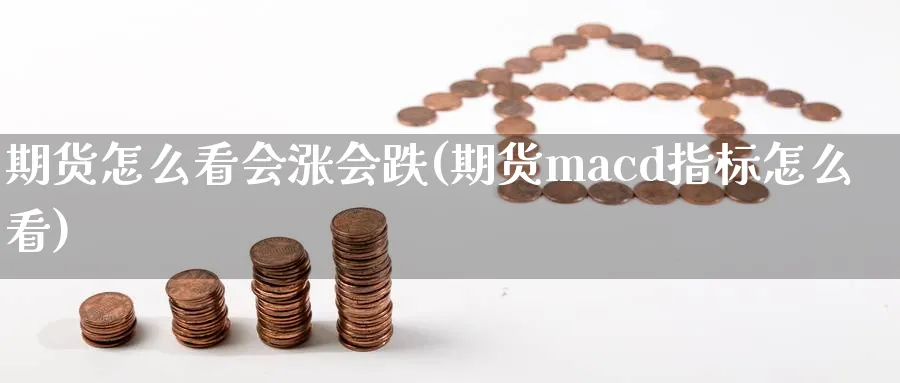 期货怎么看会涨会跌(期货macd指标怎么看)_https://www.vyews.com_股指期货_第1张