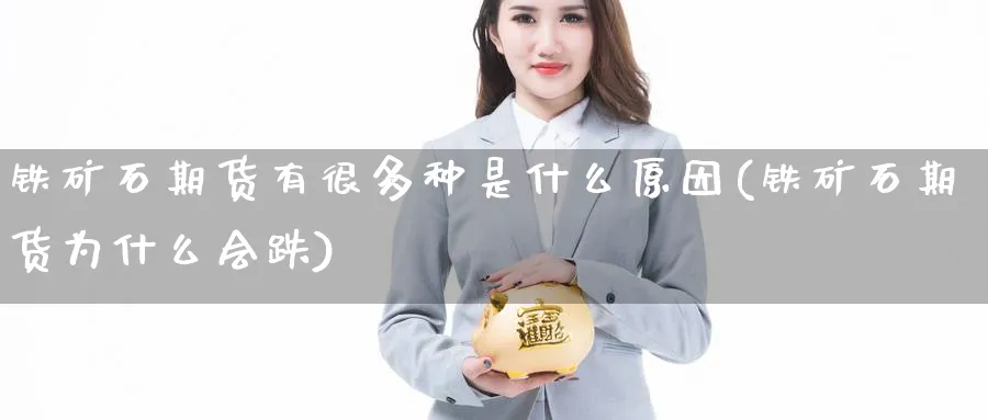 铁矿石期货有很多种是什么原因(铁矿石期货为什么会跌)_https://www.vyews.com_期货技术_第1张