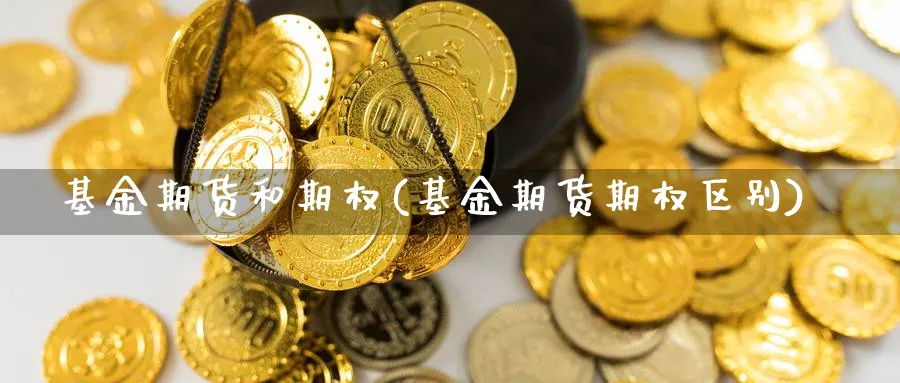 基金期货和期权(基金期货期权区别)_https://www.vyews.com_国际期货_第1张