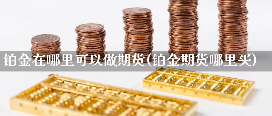 铂金在哪里可以做期货(铂金期货哪里买)_https://www.vyews.com_原油期货_第1张