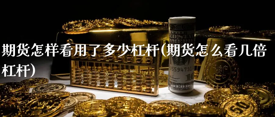 期货怎样看用了多少杠杆(期货怎么看几倍杠杆)_https://www.vyews.com_国际期货_第1张