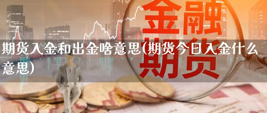 期货入金和出金啥意思(期货今日入金什么意思)_https://www.vyews.com_期货品种_第1张