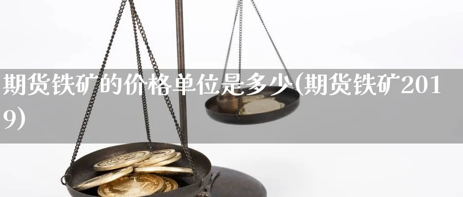 期货铁矿的价格单位是多少(期货铁矿2019)_https://www.vyews.com_期货品种_第1张