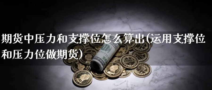 期货中压力和支撑位怎么算出(运用支撑位和压力位做期货)_https://www.vyews.com_行情分析_第1张