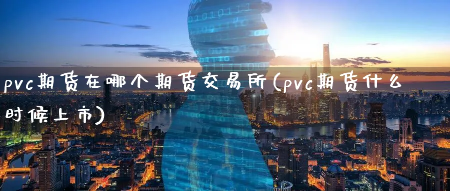 pvc期货在哪个期货交易所(pvc期货什么时候上市)_https://www.vyews.com_期货直播间_第1张